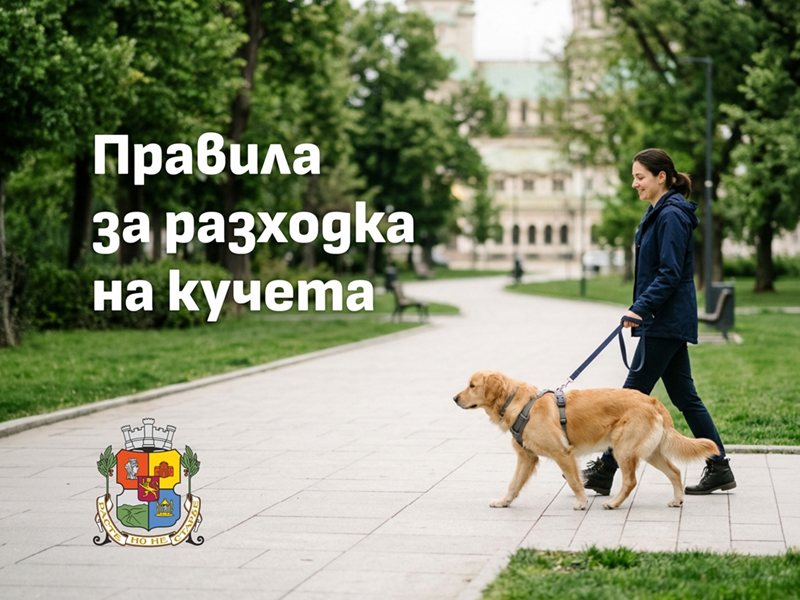 Столичният инспекторат напомня основните правила за разходка на домашните кучета
