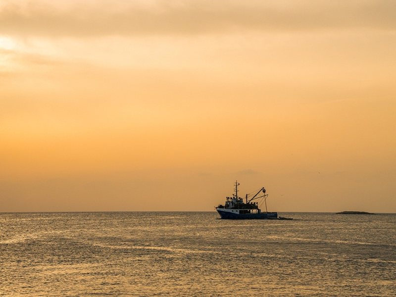 US морски пехотинци се качиха на борда на търговски кораб в Арабско море и го освободиха